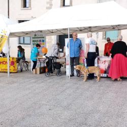 Boucle Handicap 24
